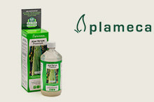 Plameca